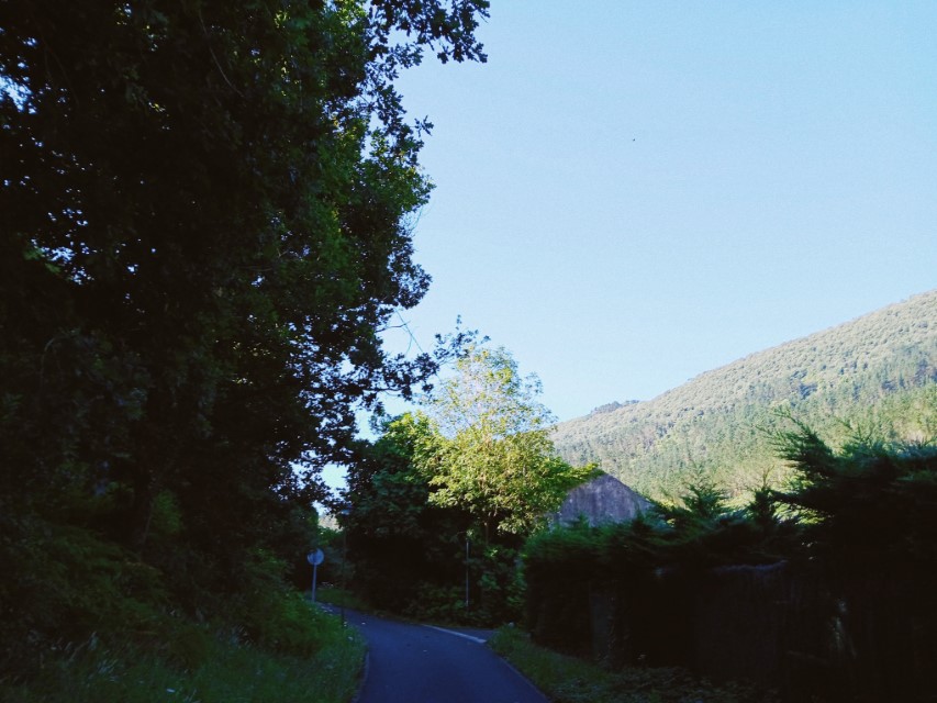 Processed with VSCO with av8 preset