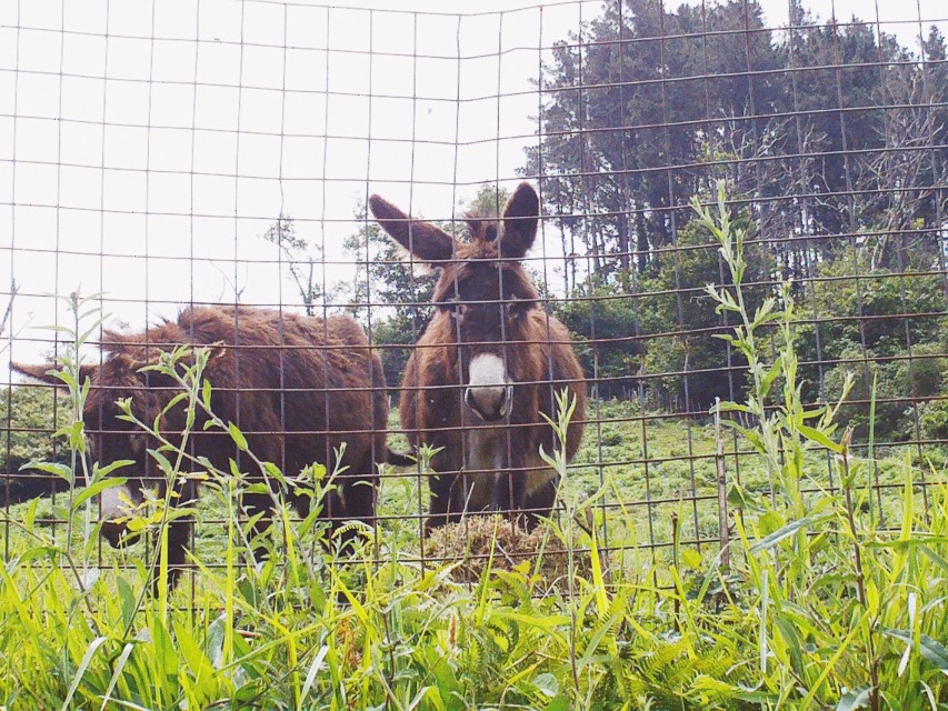 Processed with VSCO with av8 preset