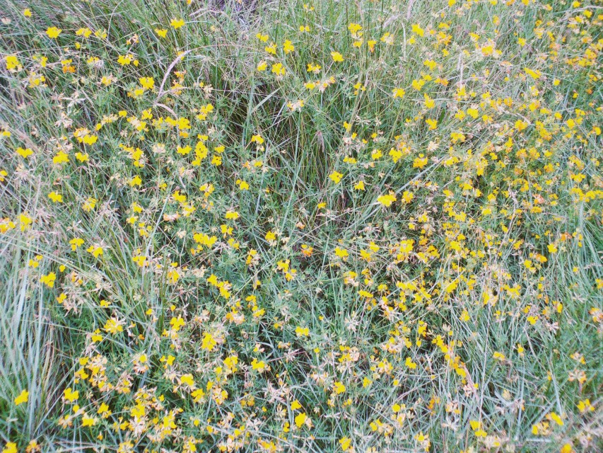 Processed with VSCO with av8 preset