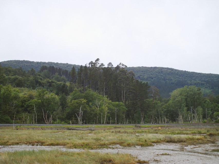 Processed with VSCO with av8 preset