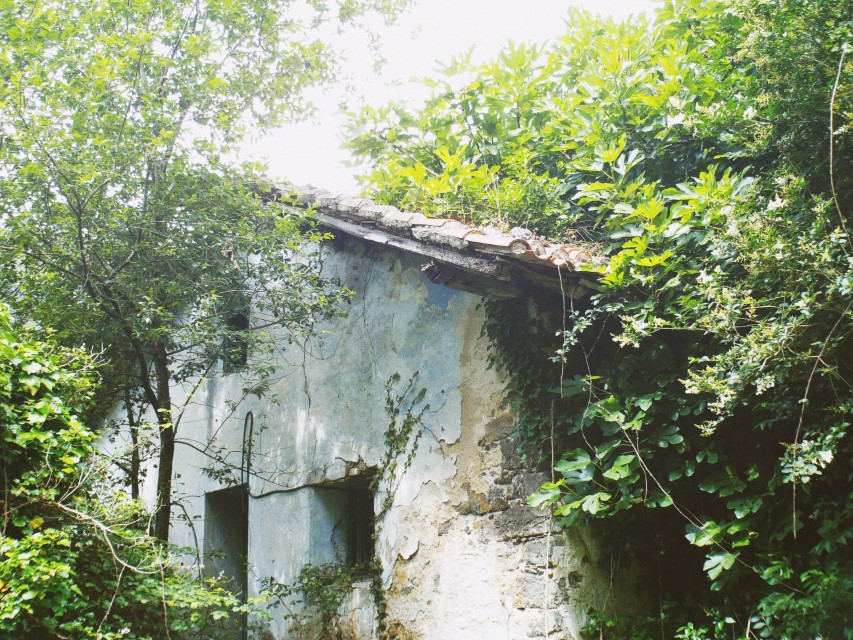 Processed with VSCO with av8 preset