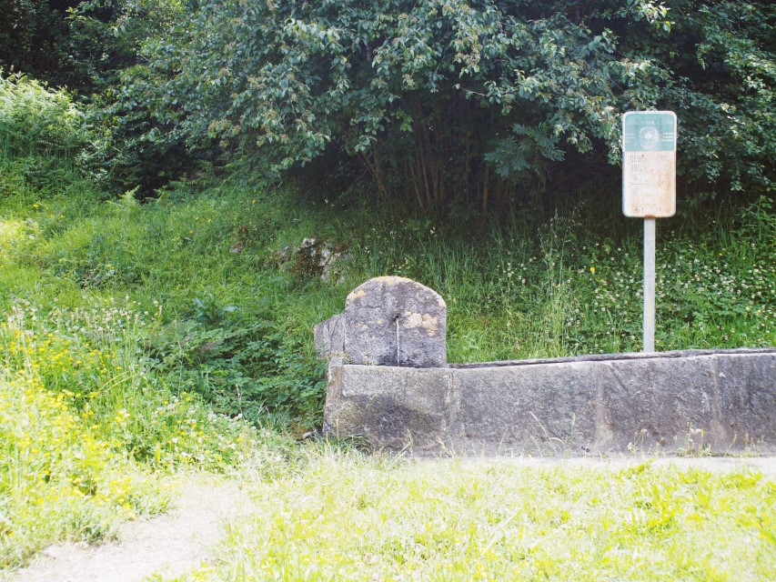 Processed with VSCO with av8 preset