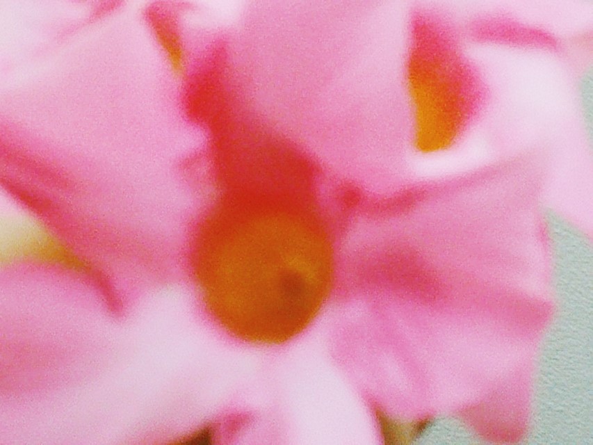 Processed with VSCO with av8 preset