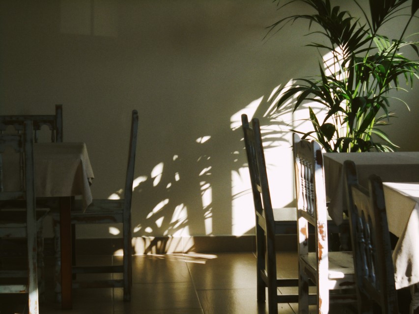 Processed with VSCO with av8 preset